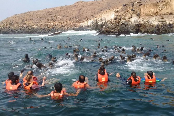 Lima: Palomino Islands Excursion & Swimming with Sea Lions with Hotel Transfers - Who should book, and who should think twice