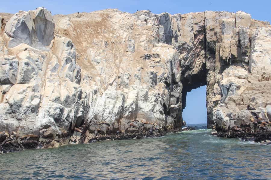 Lima: Palomino Islands Speedboat Tour & Swim with Sea Lions - Key points to know before you book