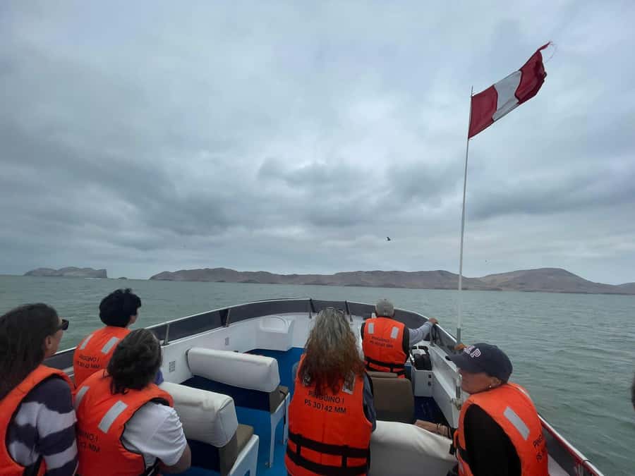 Lima: Palomino Islands Speedboat Tour & Swim with Sea Lions - Practical preparation for the Palomino Islands