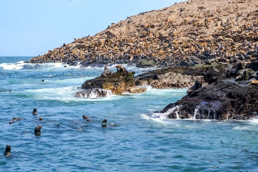 Lima: Palomino Islands Speedboat Tour & Swim with Sea Lions - Cruising past El Camotal and San Lorenzo Island