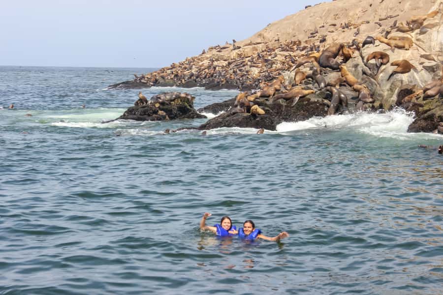Lima: Palomino Islands Speedboat Tour & Swim with Sea Lions - What the $125 price covers