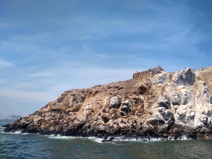 Lima: Palomino Islands Speedboat Tour & Swim with Sea Lions - Who will enjoy this outing most