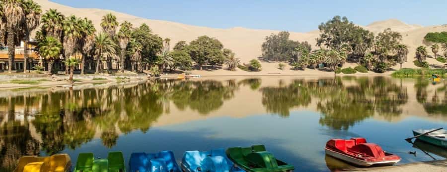 Lima: Paracas and the Huacachina Oasis Guided Day Tour - Is the $65 price good value?