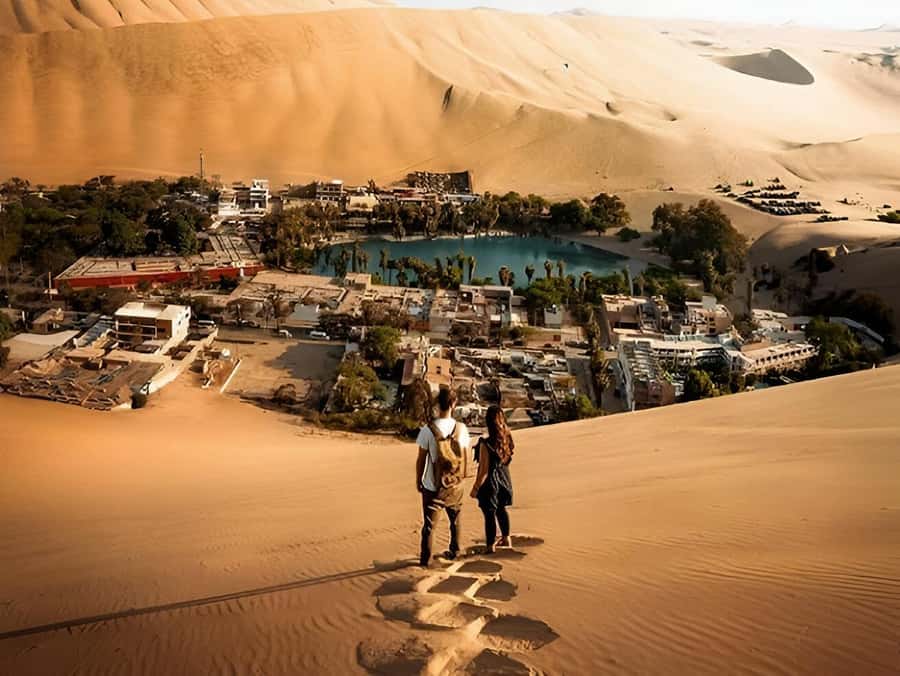 Lima: Paracas & Huacachina Oasis Day Trip with Wine & Dunes - Paracas and the Ballestas Islands by speedboat