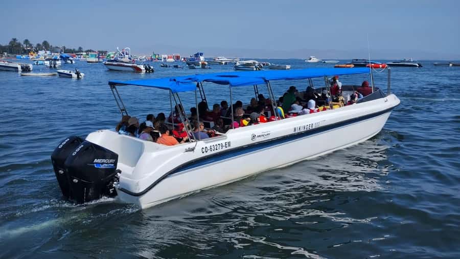 Lima: Paracas & Huacachina Oasis Day Trip with Wine & Dunes - Who should book this experience?