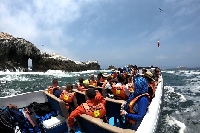 Lima Peru Sea Lions, History and Palomino Callao Islands - Guides who shape the experience