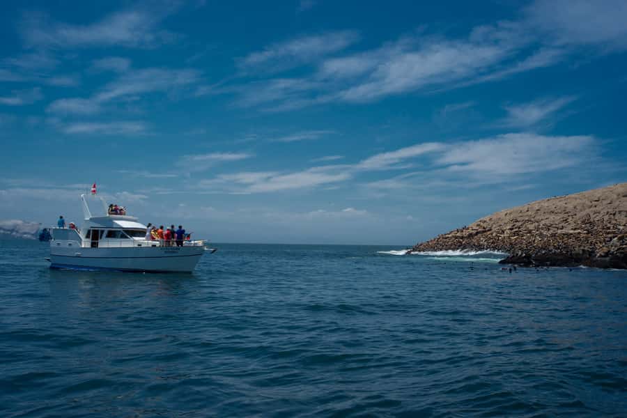 Lima: Sea Lion Swim and Wildlife Palomino Islands Cruise - Key points to know before you book