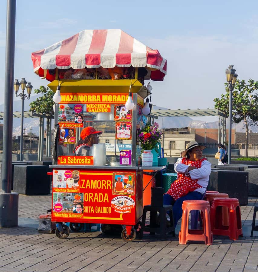 Lima: Street Food Tasting Tour with Pisco Sour Class - Surquillo Market, from Amazon fruit to Andean potatoes