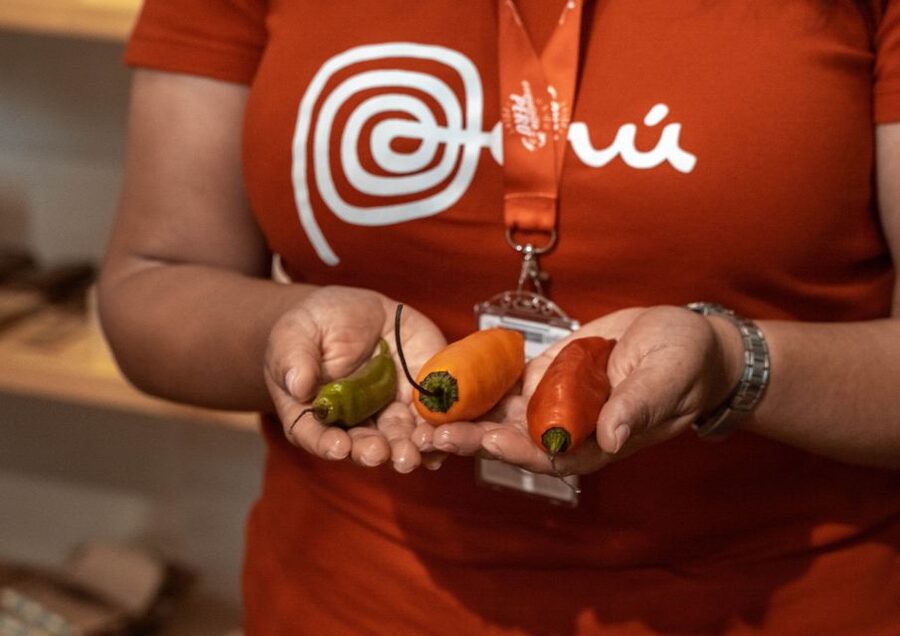 Lima: Ultimate Peruvian Food Tour - The restaurant course that brings the flavors together