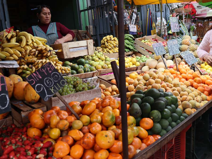 Lima: Villa El Salvador Shanty Town Tour - Why Villa El Salvador Matters