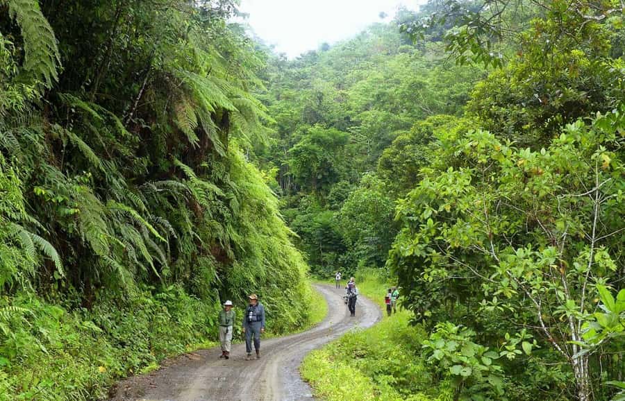 Living Nature from Cusco: 3 Days Manu Jungle all inclusive - A 40-minute boat ride into the Amazon Manu Lodge