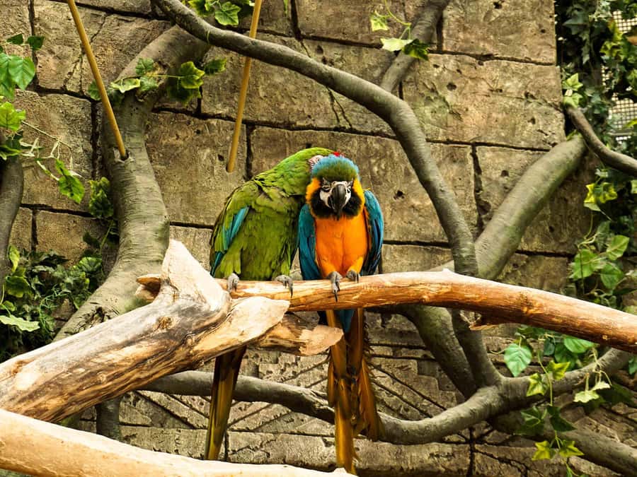 Living Nature from Cusco: 3 Days Manu Jungle all inclusive - Night walk for frogs, insects, and arachnids