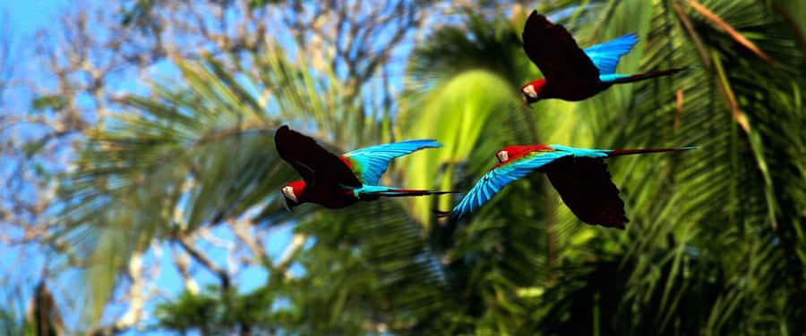 Living Nature from Cusco: 3 Days Manu Jungle all inclusive - How the $390 price works in practice