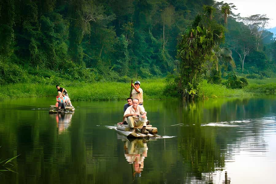 Living Nature from Cusco: 3 Days Manu Jungle all inclusive - Cloud forest wildlife on the road to Pilcopata