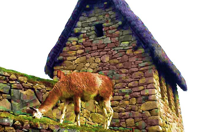 Machu Picchu 1 Day Tour from Cusco by Train - Inside Machu Picchu with Circuit 2