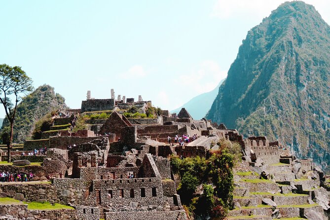 Machu Picchu 1 Day Tour from Cusco by Train - The guide and group size