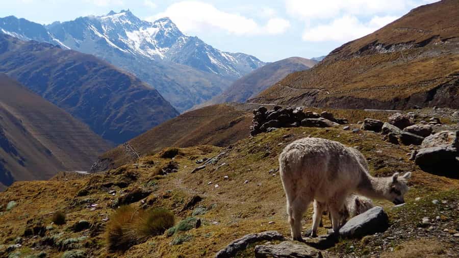 Machu Picchu 2 Days / 1 Night (By Bus) - Why this road route feels different