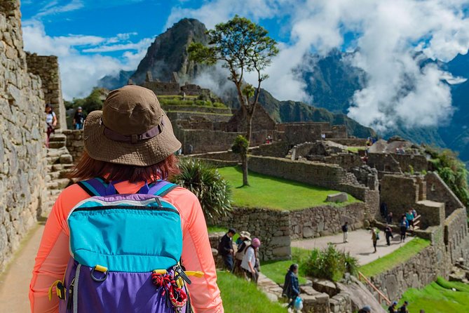 Machu Picchu Day Trip from Cusco - The train ride through the Andes