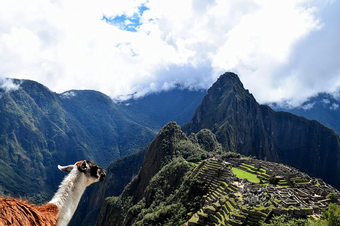 Machu Picchu Entrance Ticket - The independent digital ticket: best for organized visitors