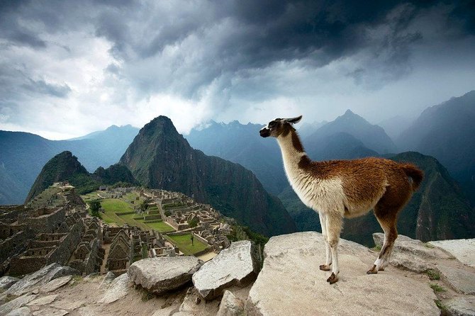 Machu Picchu Entrance Ticket - Machu Picchu itself, one-way routes and unforgettable views