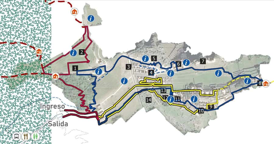 Machu Picchu Entry Ticket and Bus from Aguas Calientes - What You Are Really Buying for $119