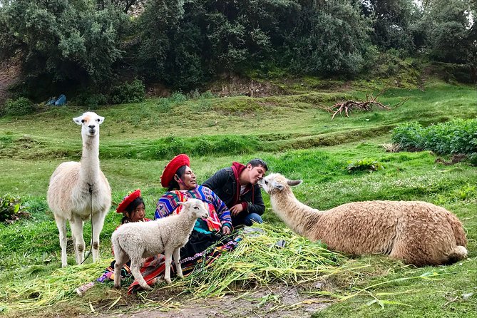 Machu Picchu Full Day from Cusco - Inside Machu Picchu with a local guide