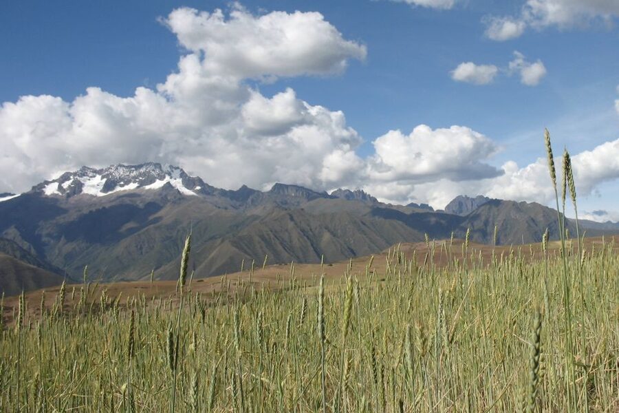 Machu Picchu: Private Full-Day Tour with Afternoon Entrance - Is $449 per person good value?