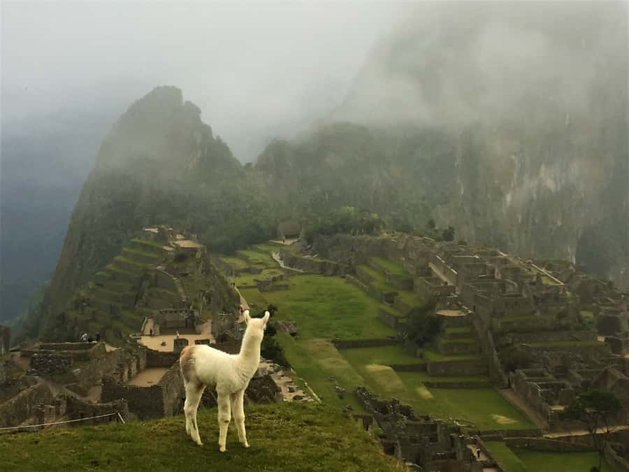 Machu Picchu: Private Tour Guide Service - Photos, crowds, and keeping your cool