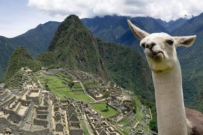 Machu Picchu Small Group Day Tour from Cusco - Is $335 a good value?