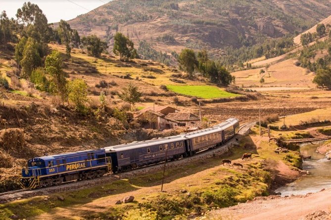Machu Picchu Tour By Train (2 Days) - Who will get the most from this trip