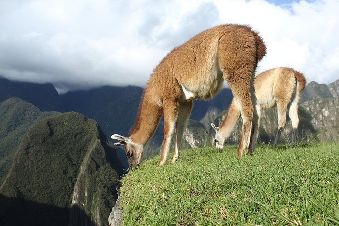 Machu Picchu Tour From Cusco Full Day - Two hours inside the Inca citadel