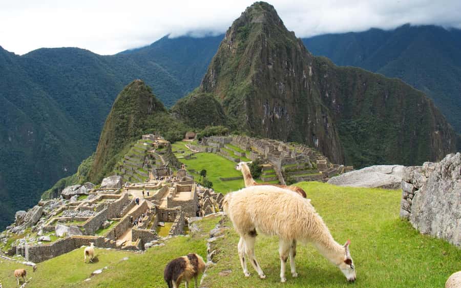 Machupicchu tour by tourist train in 2 days - Touring the main Inca citadel
