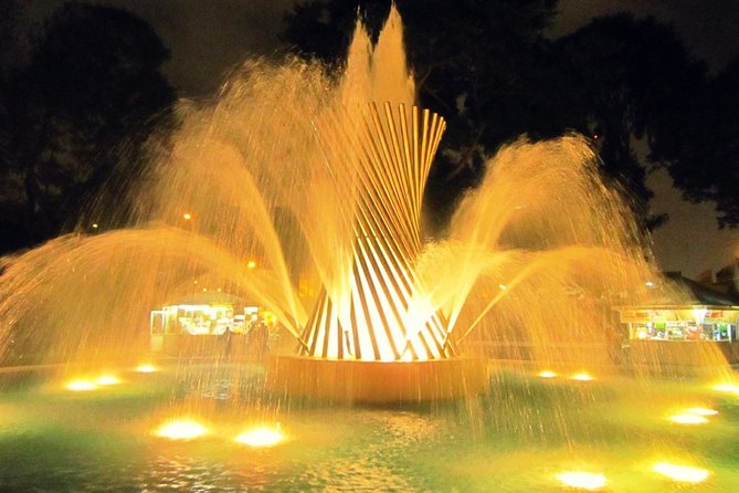 Magic Water Circuit with Dinner - Who will enjoy this evening most?