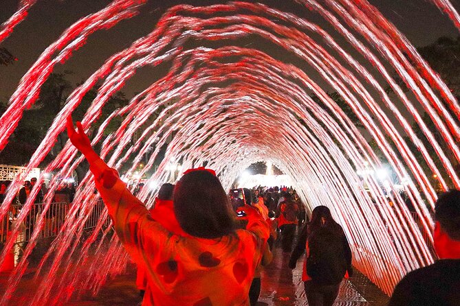Magic Water & Laser Light Show Including Pickup And Drop-Off - Who will enjoy this outing most