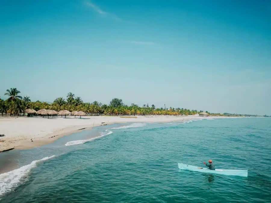 Mancora: Beaches and Tumbes Mangroves Day Trip - Key points to know before booking
