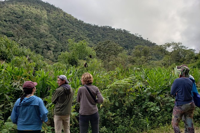 Manu National Park Tour 4days/3night - Hot springs provide a welcome change of pace