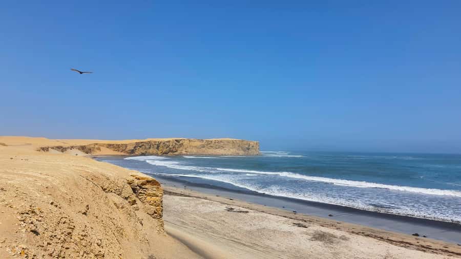 Mini Buggy GO KART in Paracas National Reserve - Who will enjoy this most