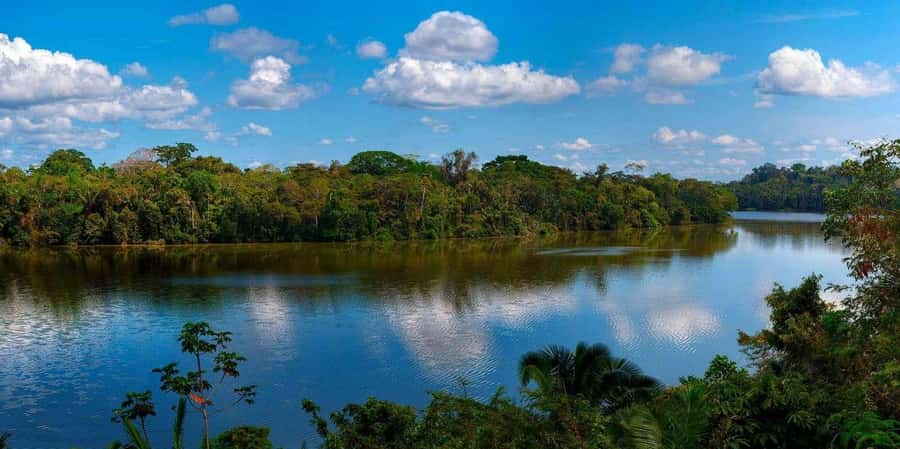 Monkey Island + Lake Sandoval 2D/1N - Monkey Island and its river crossing