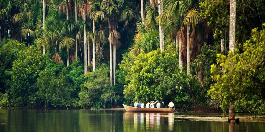 Monkey Island + Lake Sandoval 2D/1N - Two hours among Tambopata’s old trees