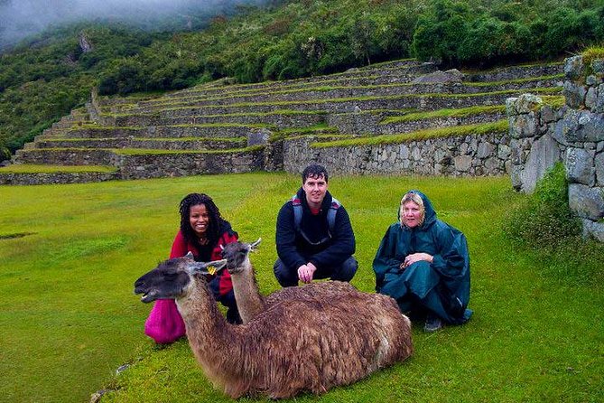 Mystical Journey: 2-Day Private Adventure to Machu Picchu - The value of a private guide inside the citadel