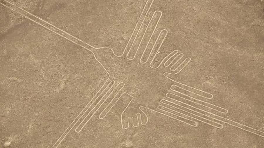 Nazca: Light aircraft flight over the Nazca Lines - Group size, languages, and the guide experience