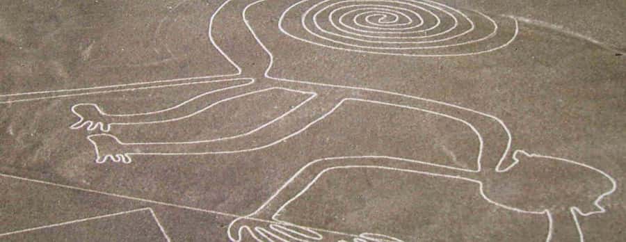 Nazca: Light aircraft flight over the Nazca Lines - From your Nazca hotel to Maria Reiche Neumann Airport