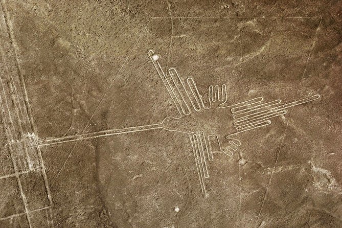 Nazca Lines & Ballestas Islands Private Tour Bus&Flight from Lima - The wait between wildlife and aviation
