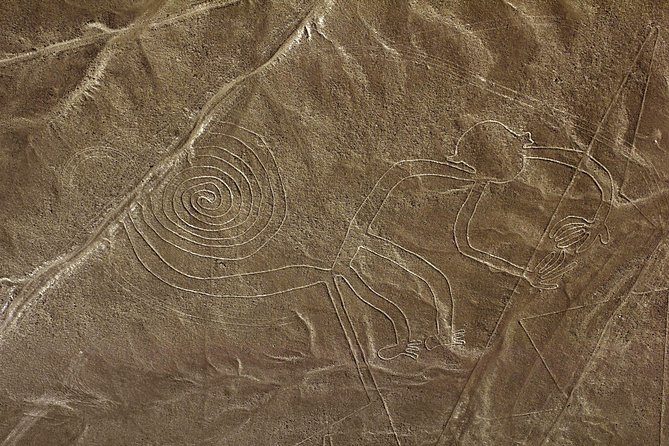 Nazca Lines & Ballestas Islands Private Tour Bus&Flight from Lima - Is $818 a fair price?