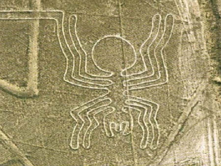 Nazca: Maria Reiche Museum and Nazca Lines Viewpoint Tour - Is $52 a fair price?