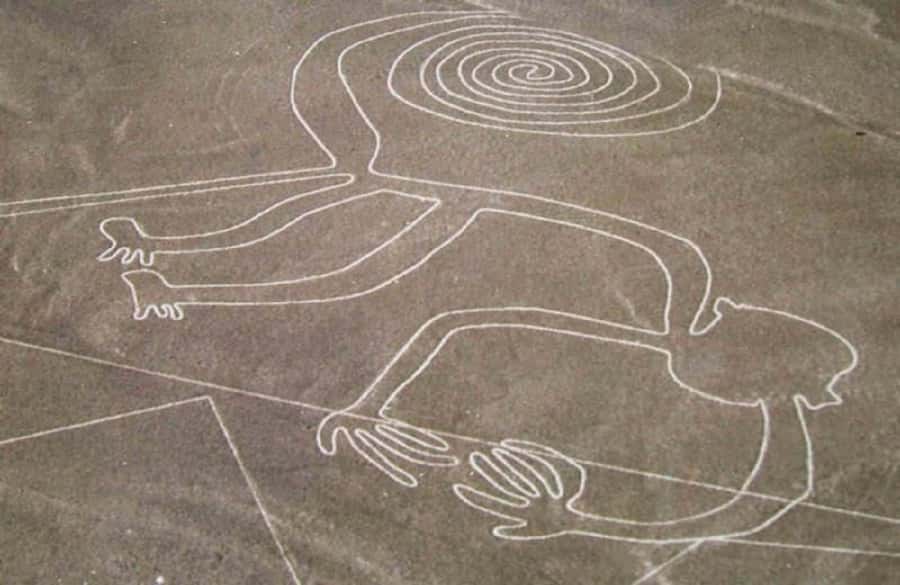 Nazca: Overflight of the Nazca Lines - The briefing, documentary, and guide support