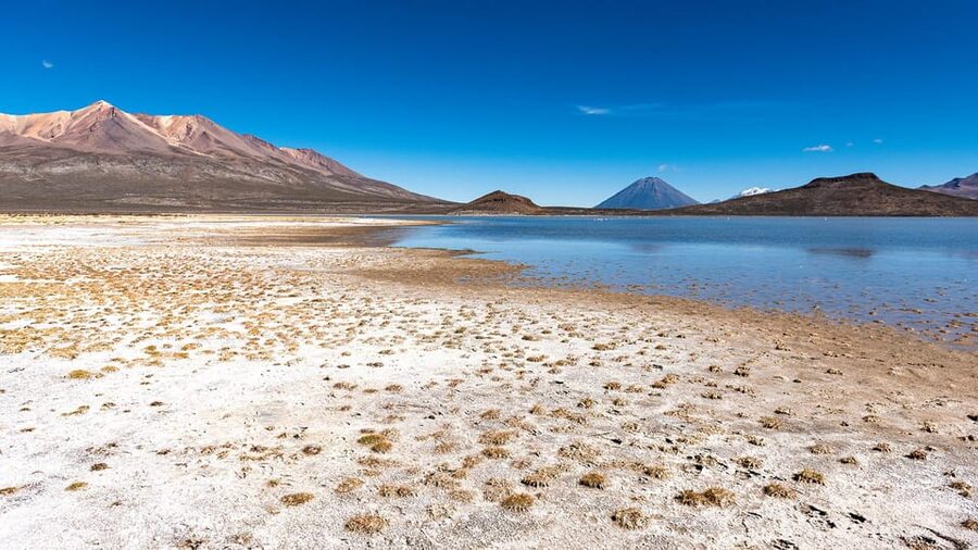 Offer Price Tour Salinas Lagoon and National Reserve 8 hours - The ride back and the real value of $20