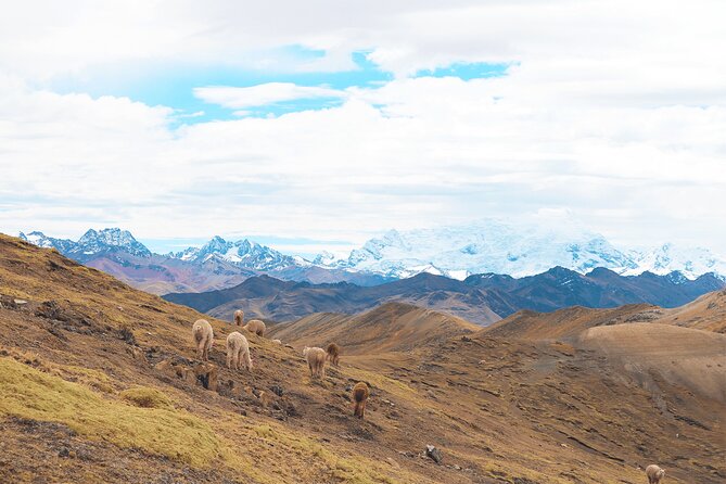 Palccoyo Rainbow Mountain Full Day Tour from Cusco - Checacupe and its three bridges