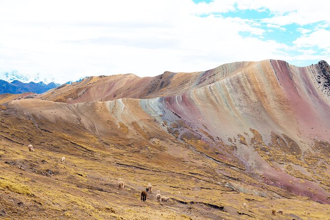 Palccoyo Rainbow Mountain Full Day Tour from Cusco - Three colorful mountains and the stone forest