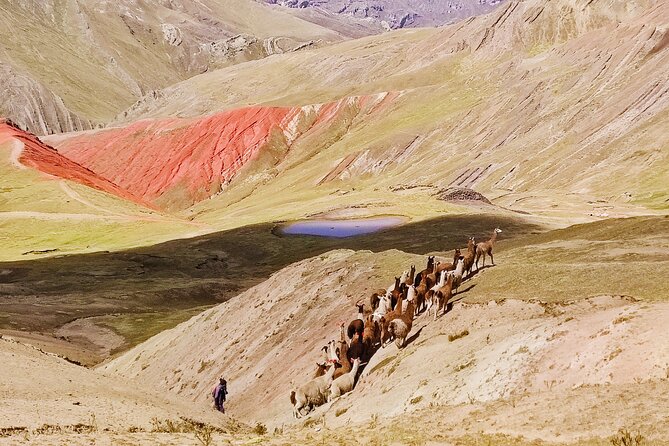 Palccoyo Rainbow Mountains Full Day Tour from Cusco - Ccacca Loma and the red mountain add variety